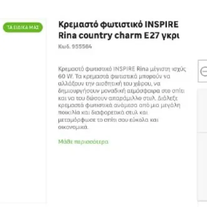 Плафон INSPIRE Rina country charm E27