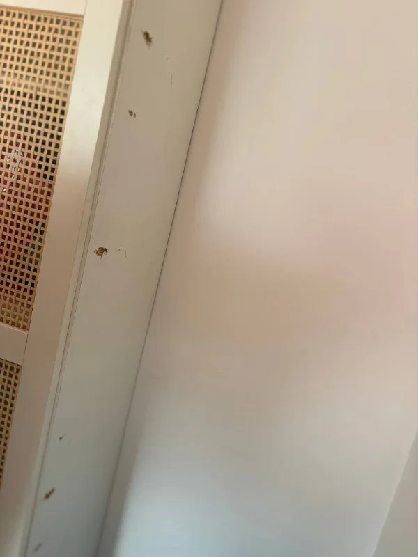 White Cabinet with Glass and Cane Doors