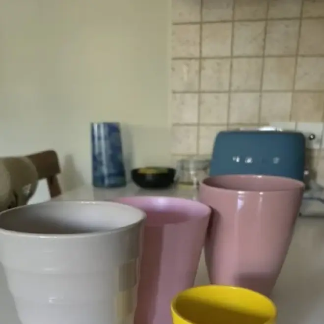 Цветочные горшки